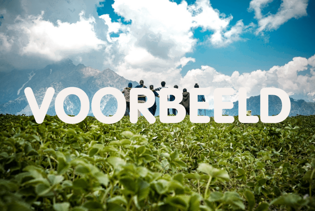 Lekker sust(r)ainable op reis