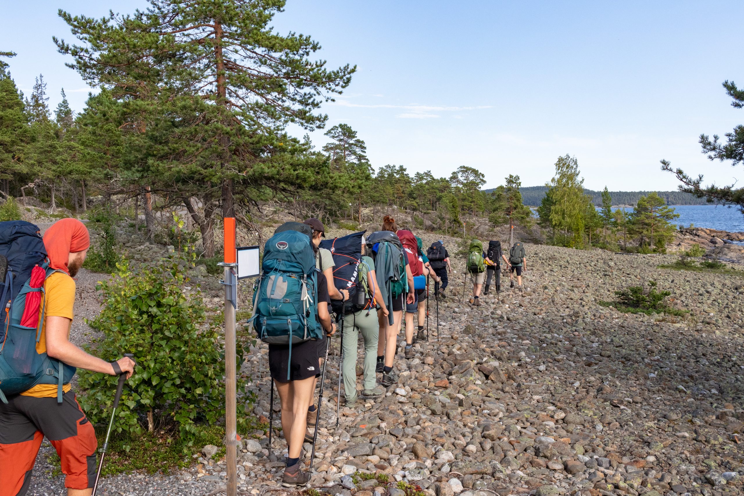 Spring 20240817_164718_BEW_9698_Bas Wetter