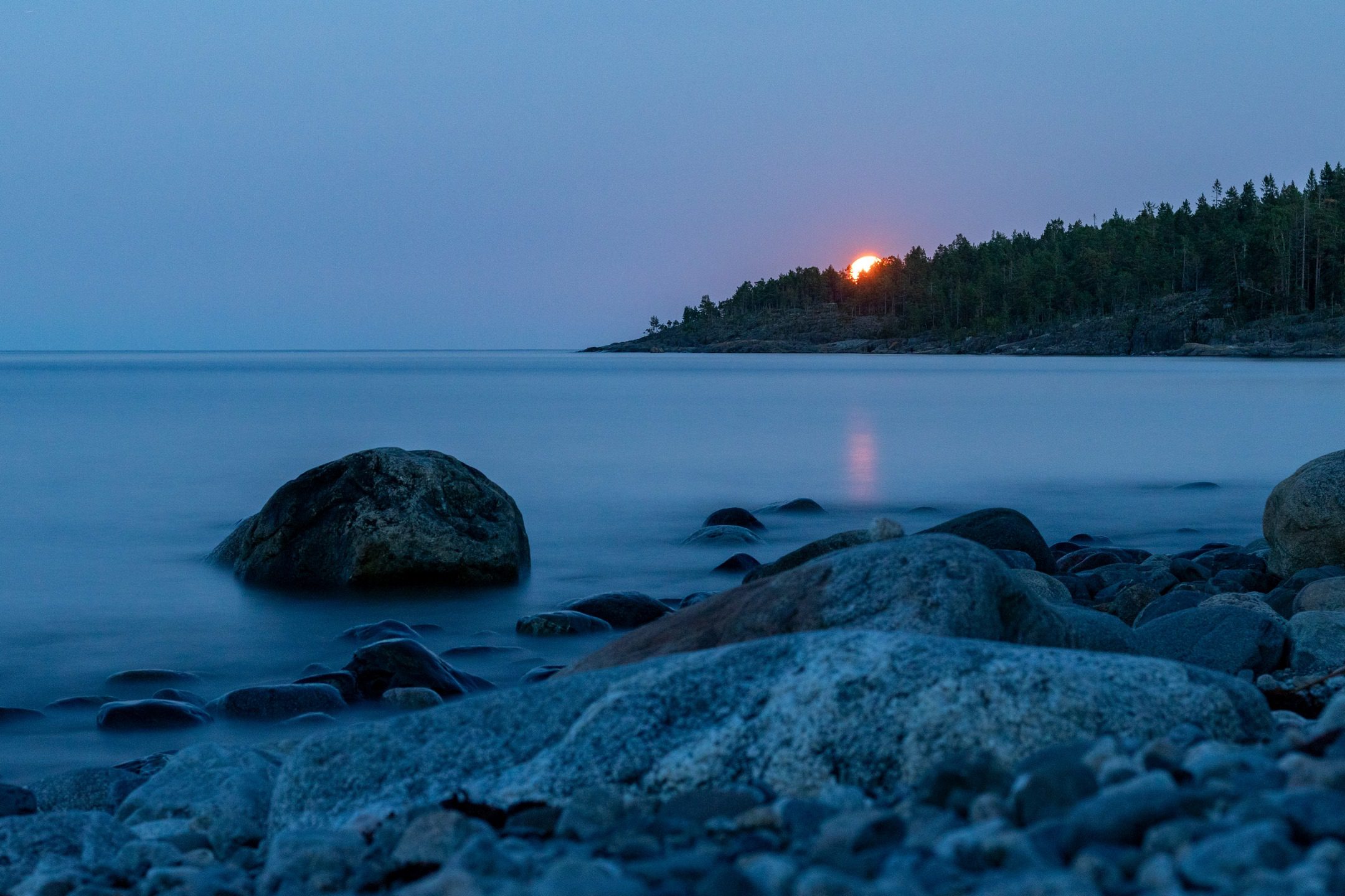 Spring 20240817_222934_BEW_9719_Bas Wetter