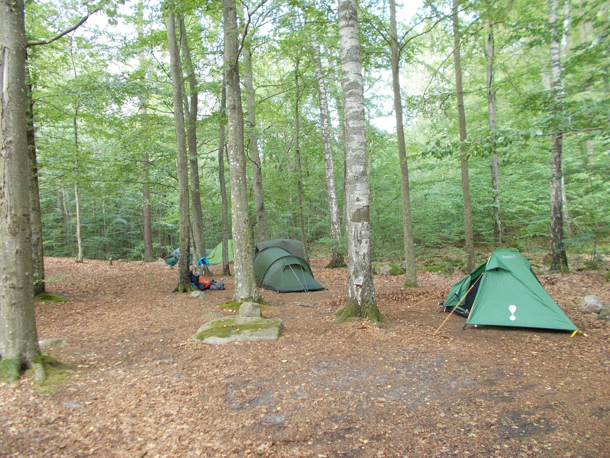 Spring DSCN0464_Geert-Jan