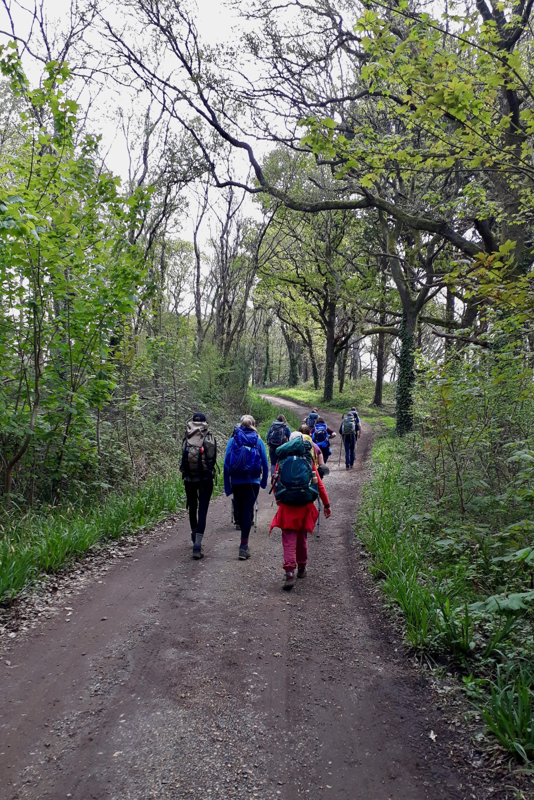 20230430_100303_Francine