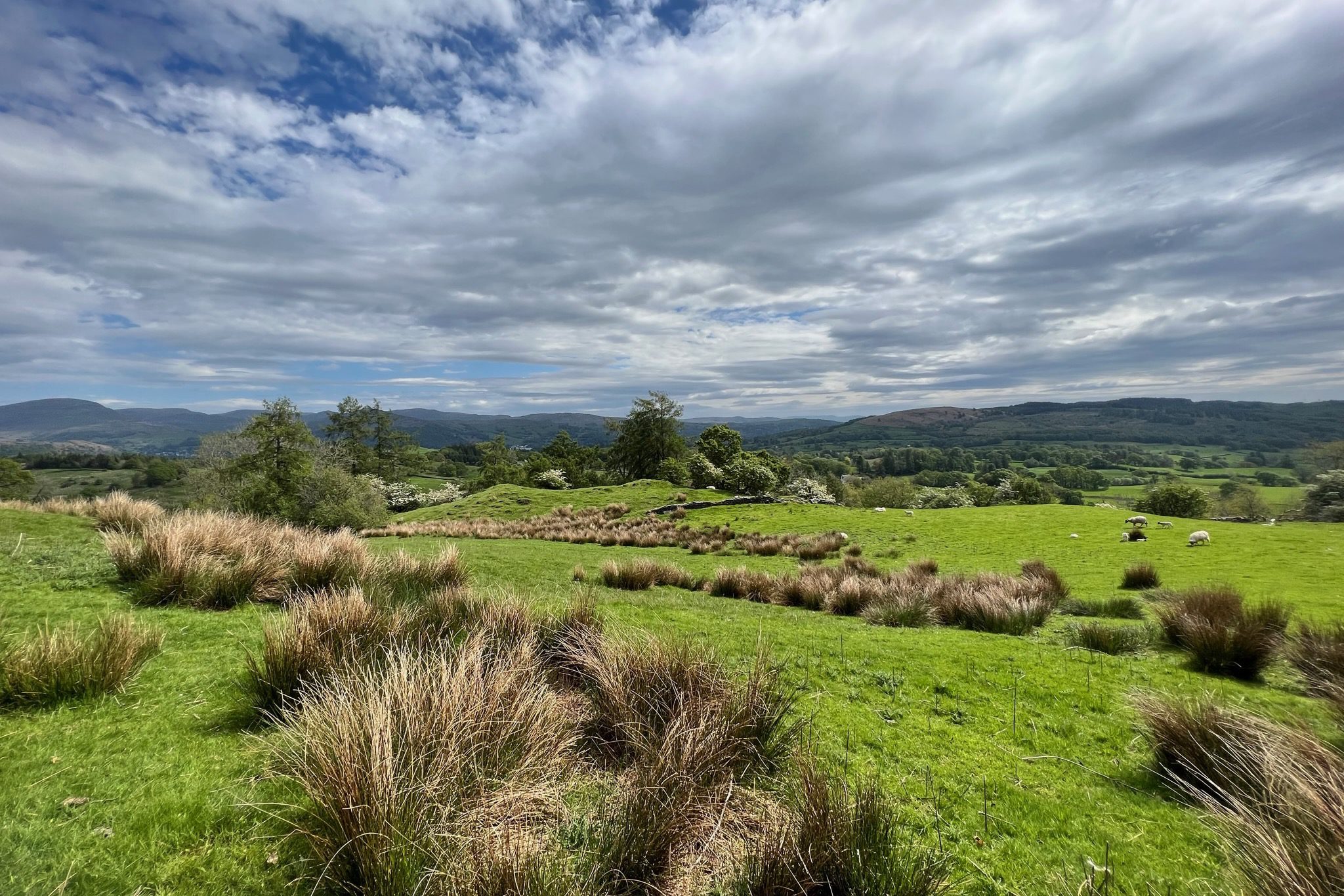 C6FCAEE4-DCBE-42EE-A7E4-CBA1BB2639DC_Taco Droogers