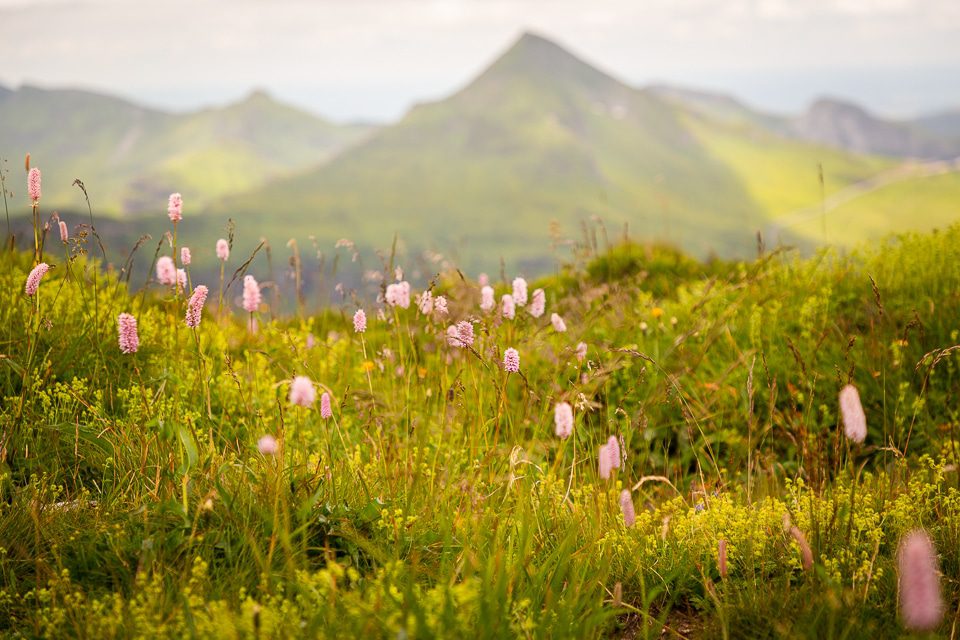 GR400-auvergne-j1-24
