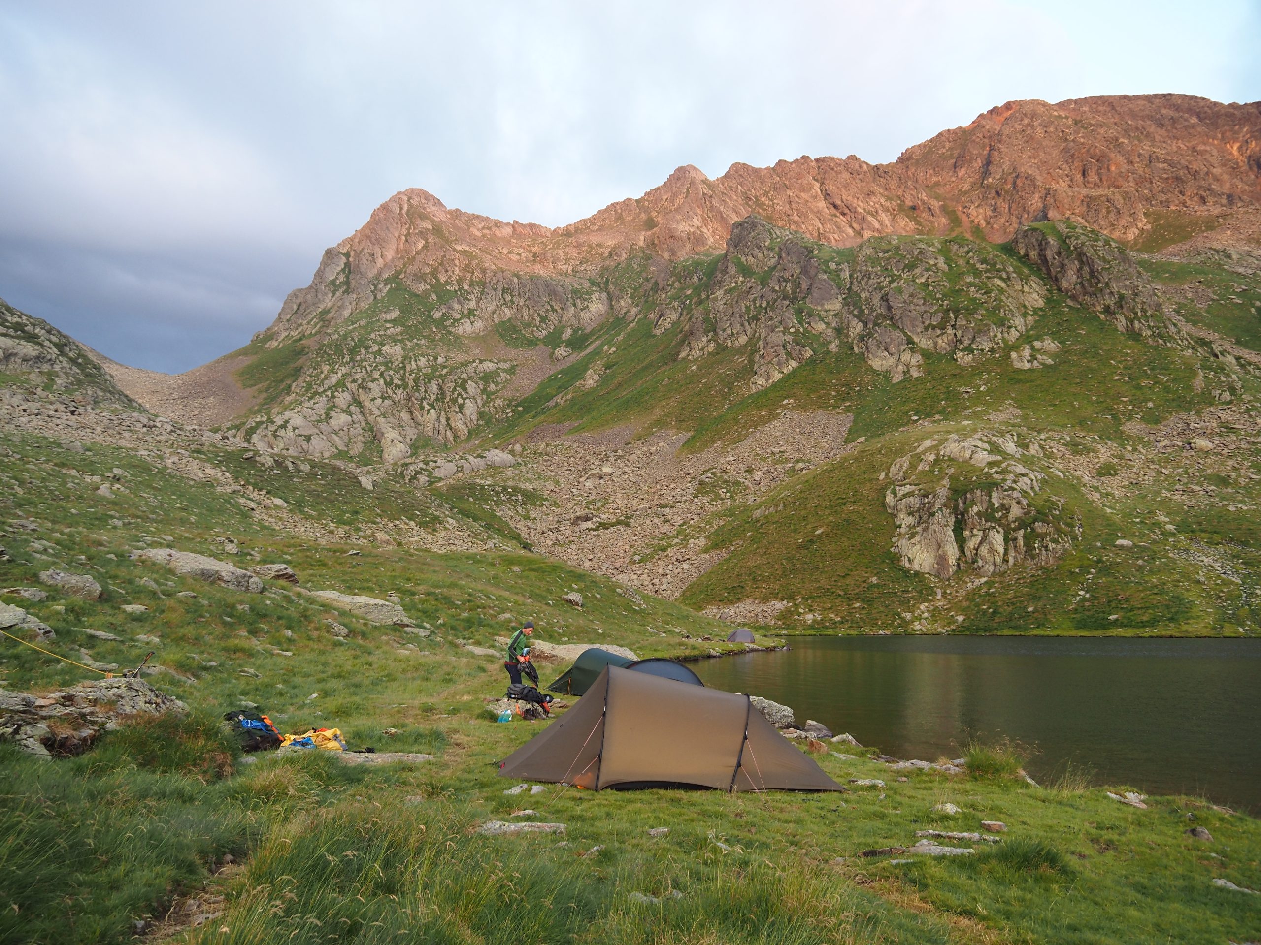 Spring-20230722_055240_P7220831 - Floris van Loo