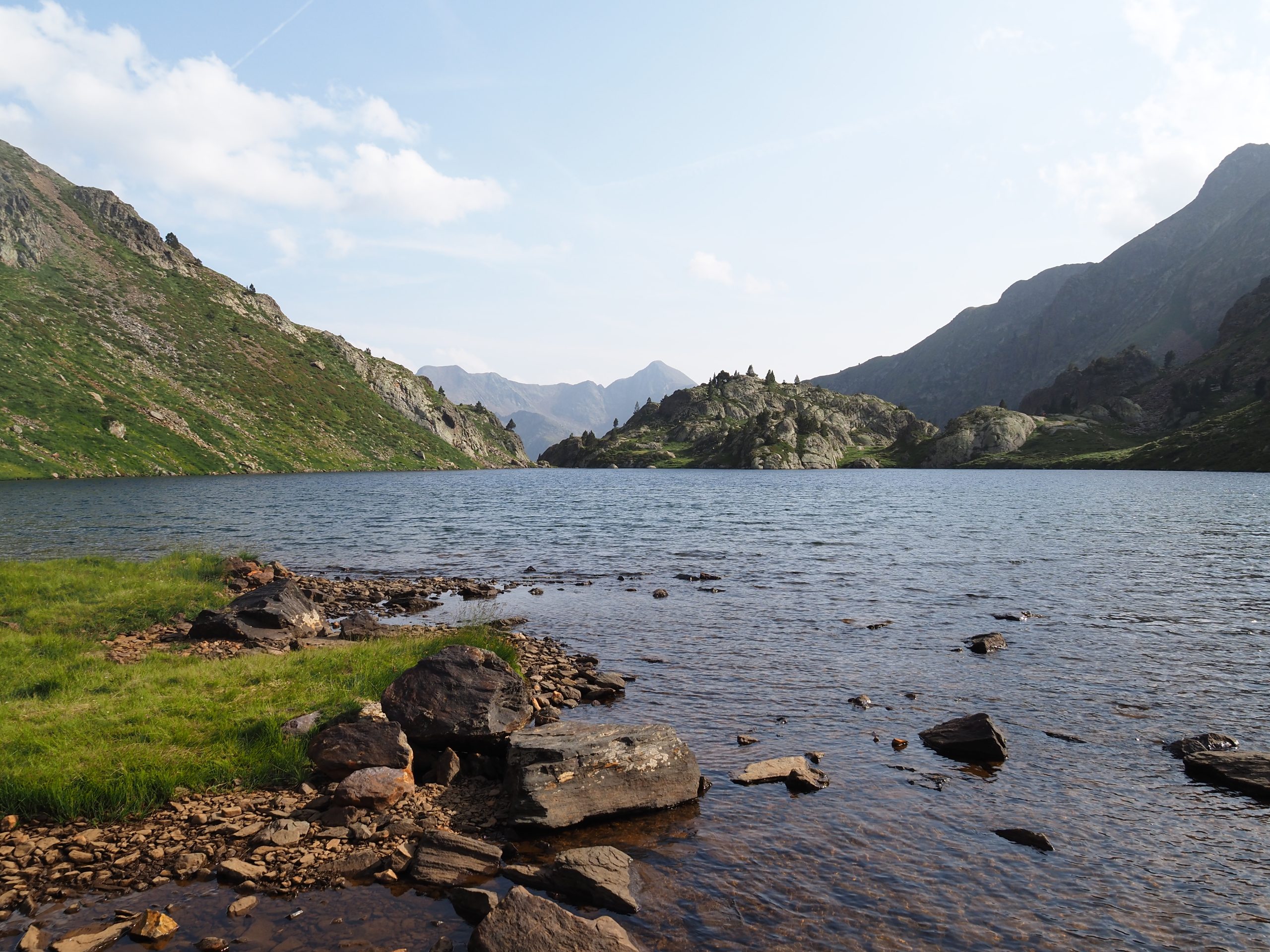 Spring-20230722_173010_P7220938 - Floris van Loo