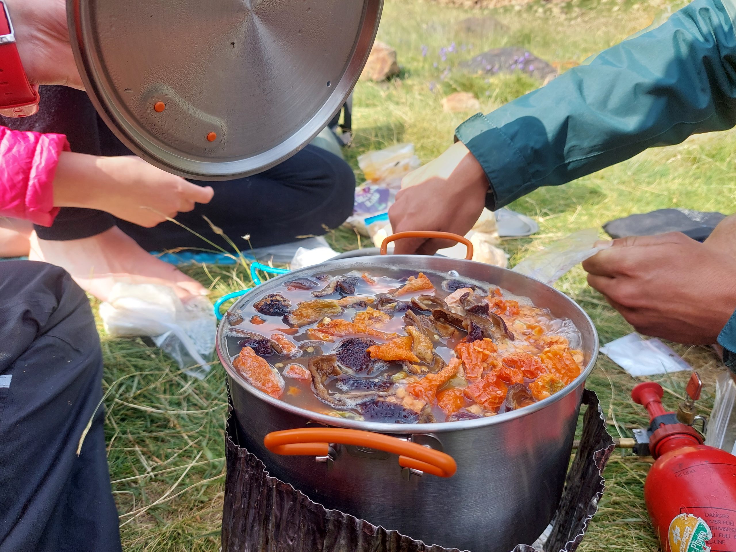 Spring-20230722_180238 - Bastiaan Hoogland