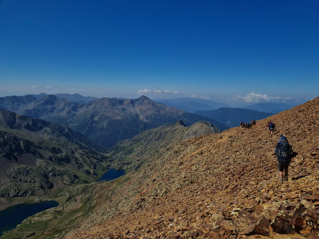 Spring-20230723_111927 - Niels Wheeler