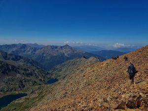 Spring-20230723_111927 - Niels Wheeler