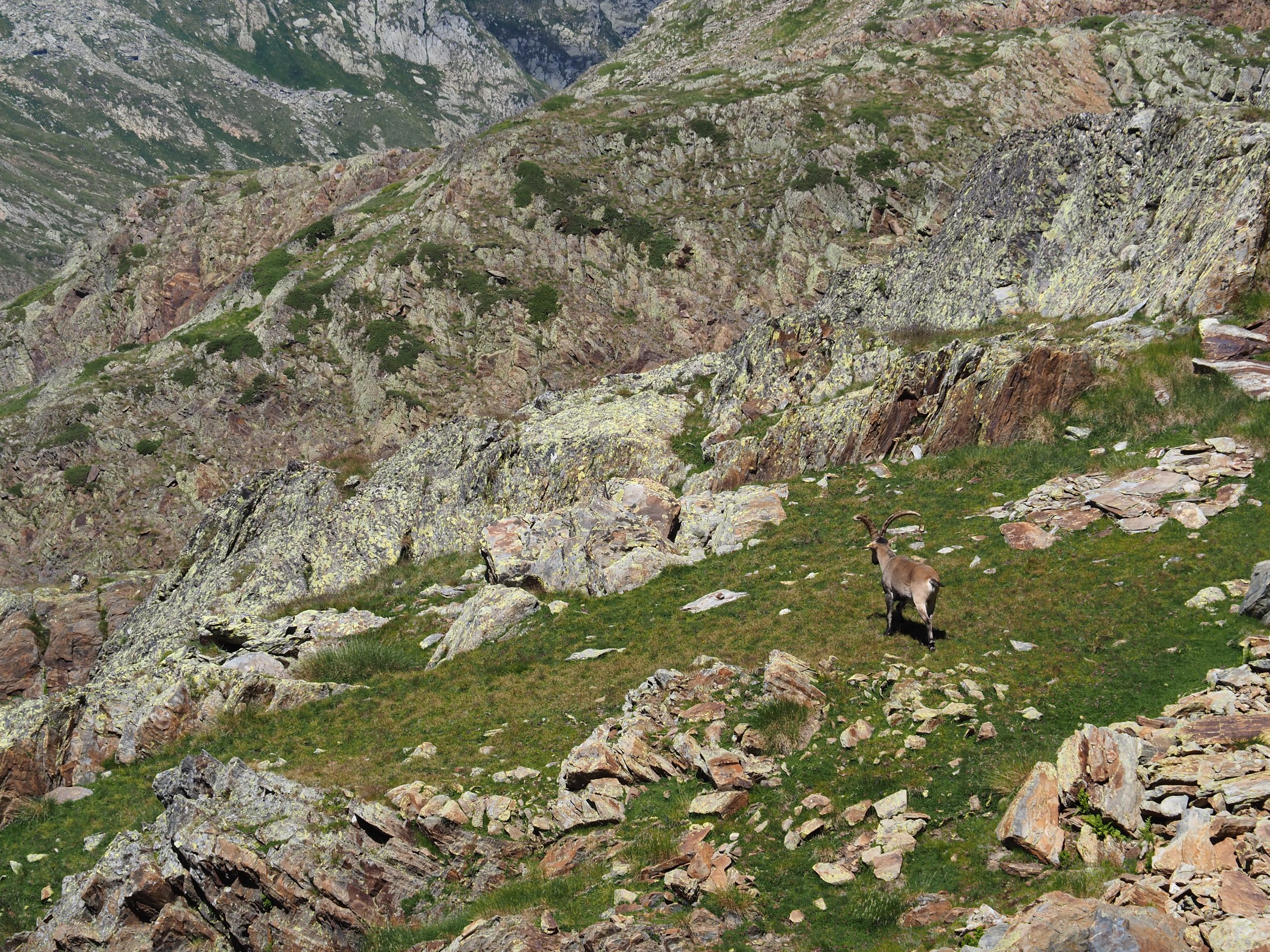 Spring-20230726_143954_P7261178 - Floris van Loo