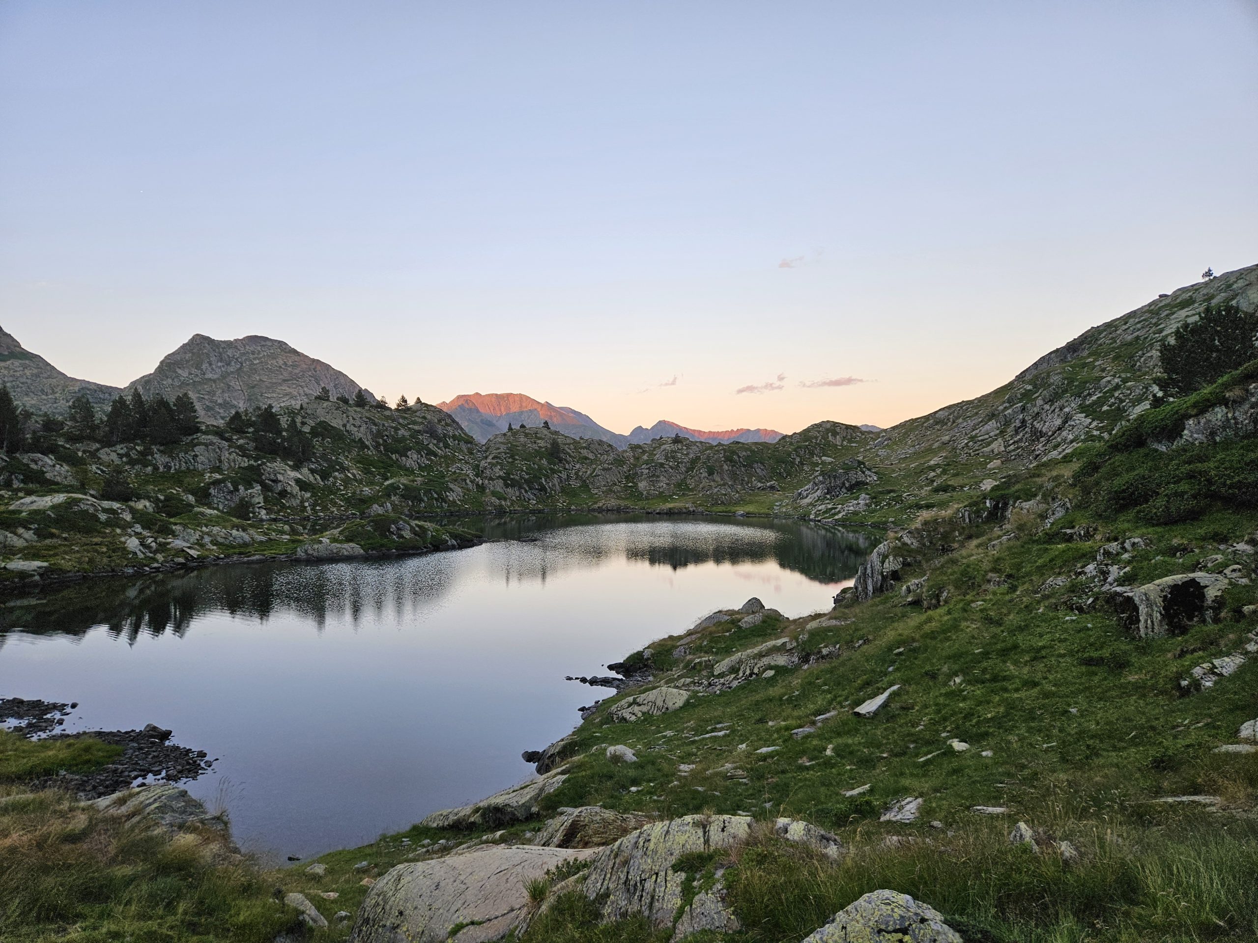 Spring-20230726_212017 - Floris van Loo