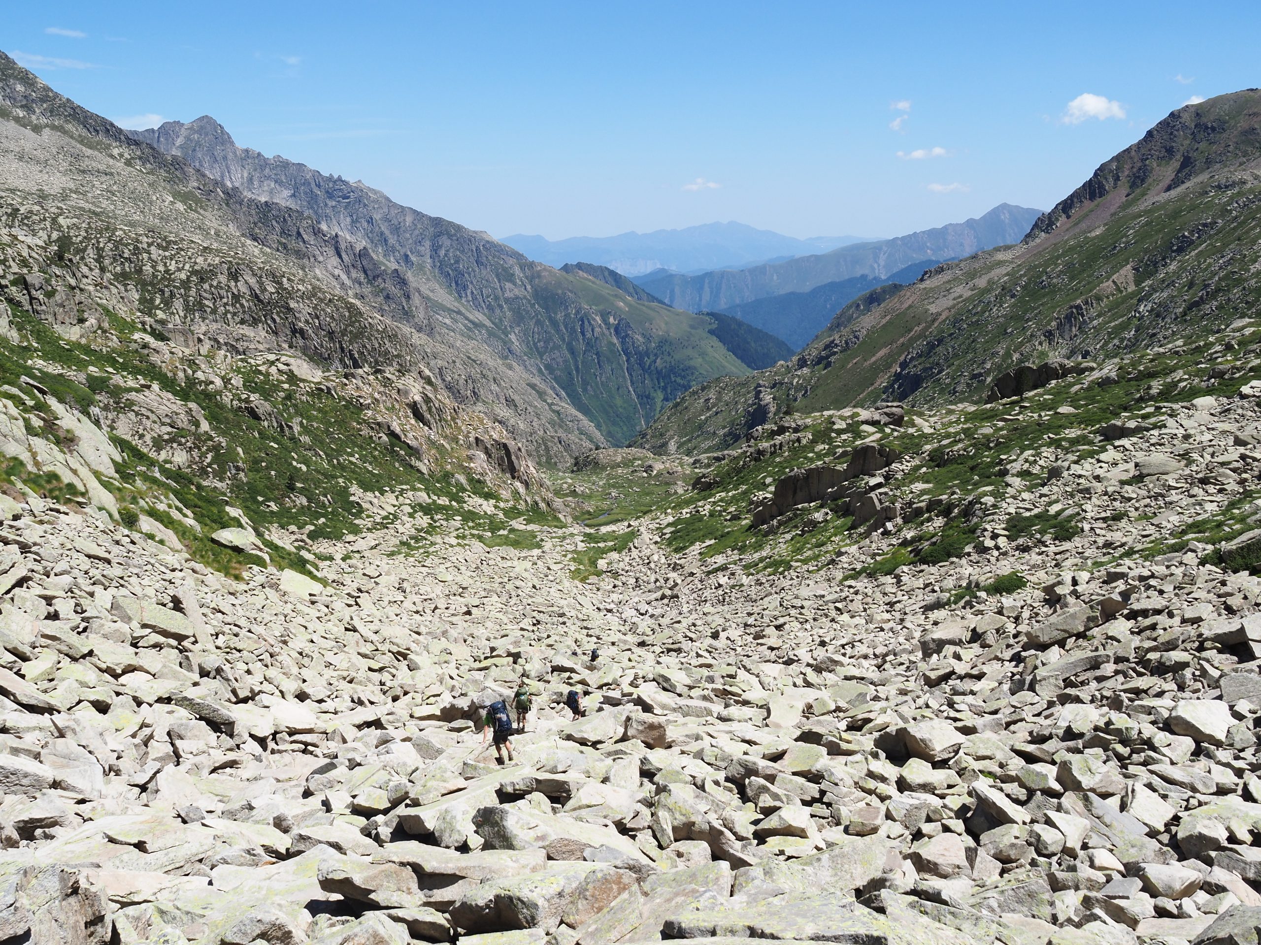 Spring-20230728_125016_P7281301 - Floris van Loo