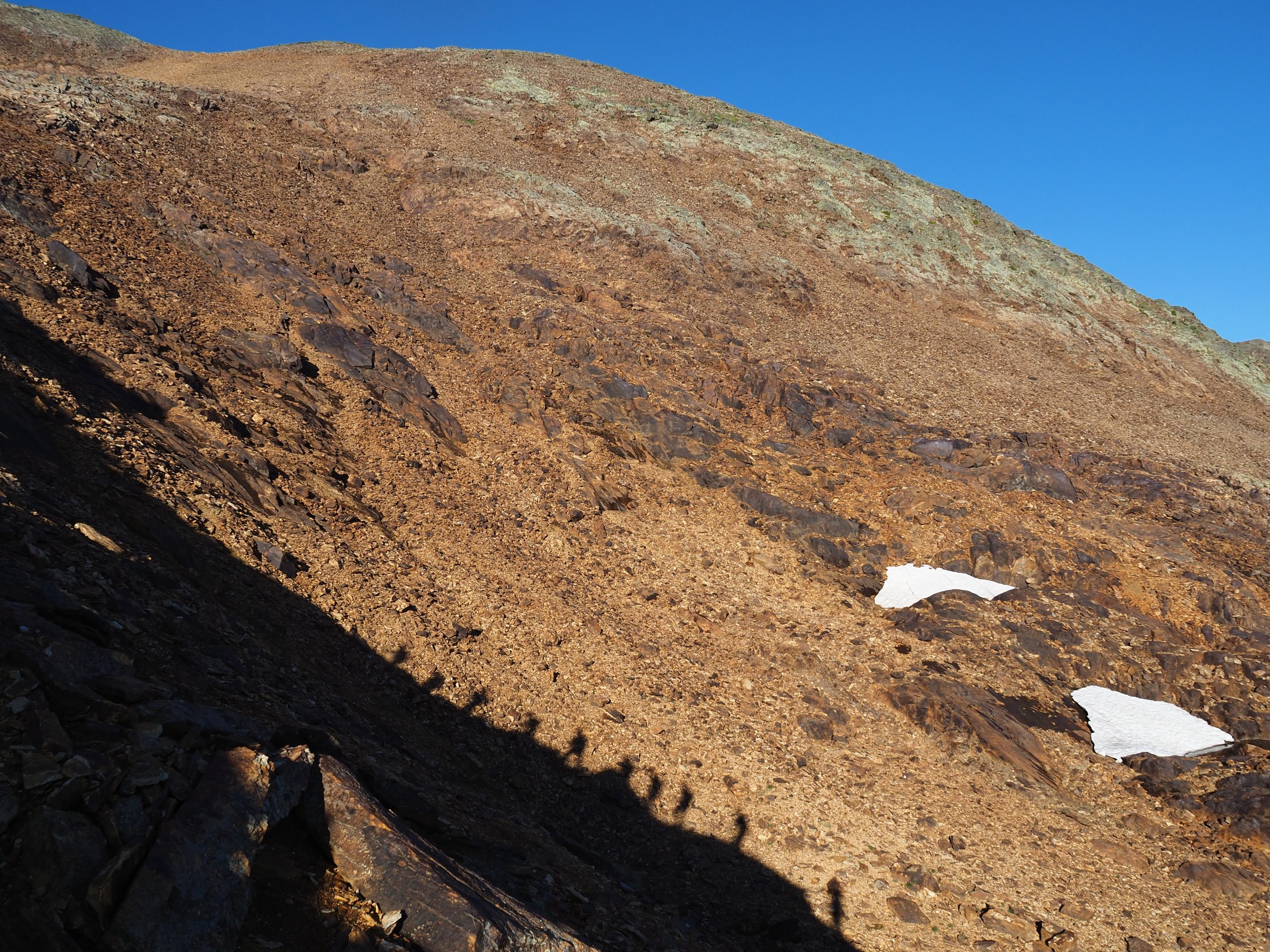 Spring-20230729_072902_P7291356 - Floris van Loo