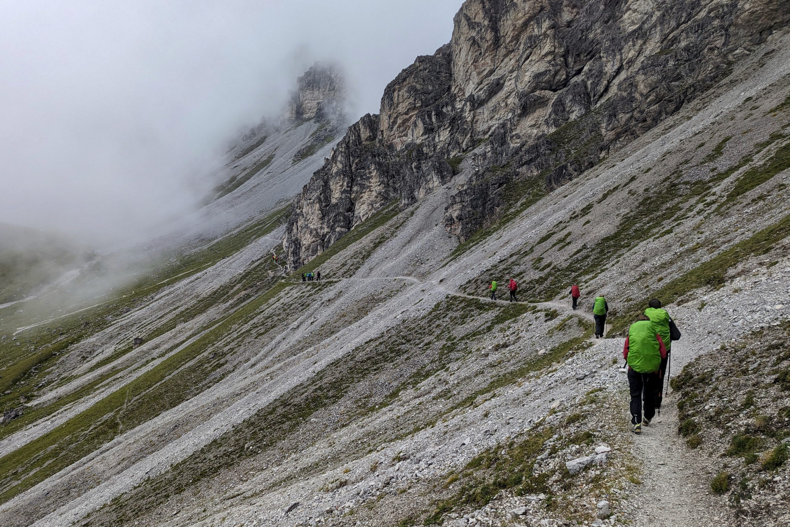 Spring-20230827_060208268-Johan