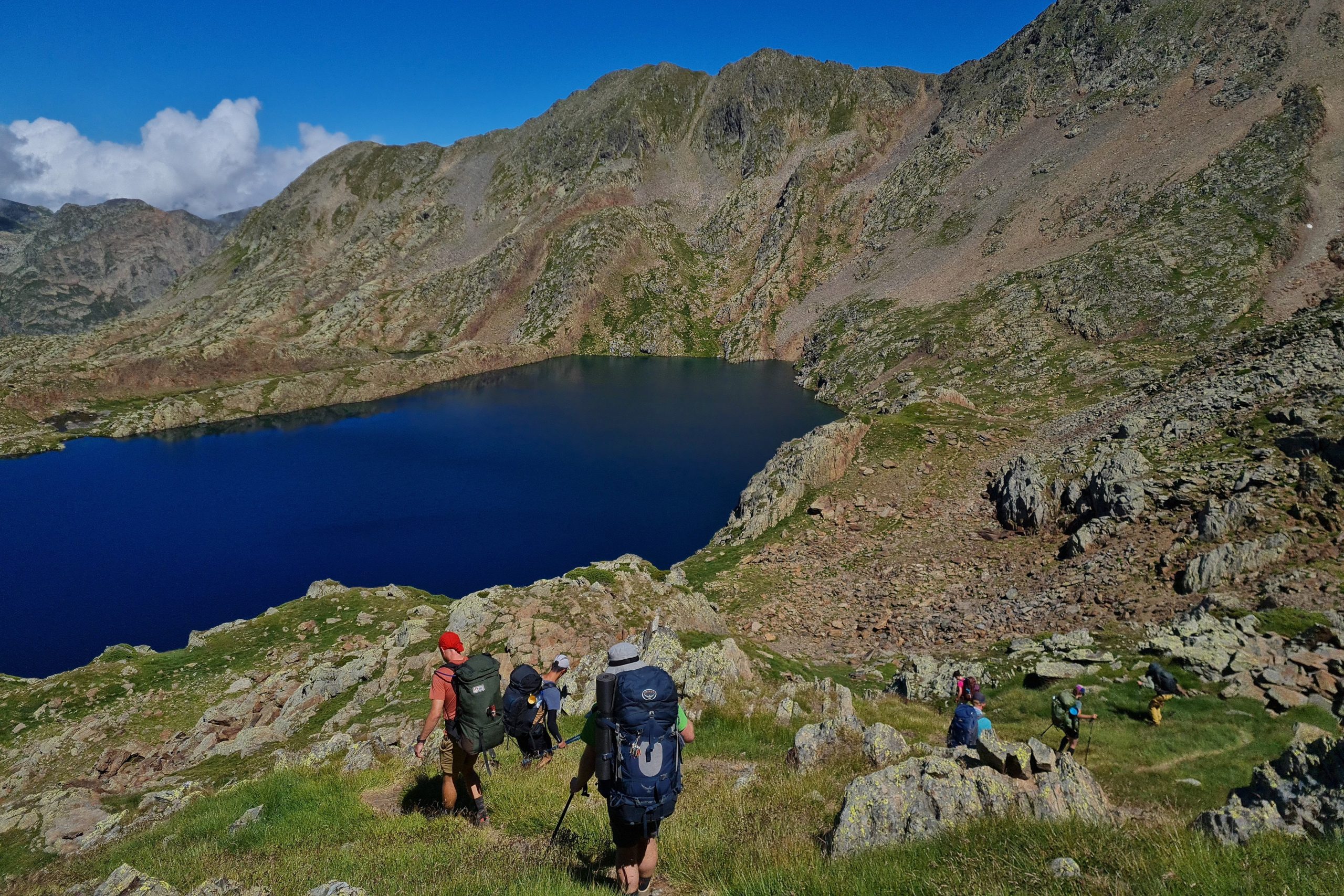 Spring-IMG_20230726_160321_Niels Wheeler