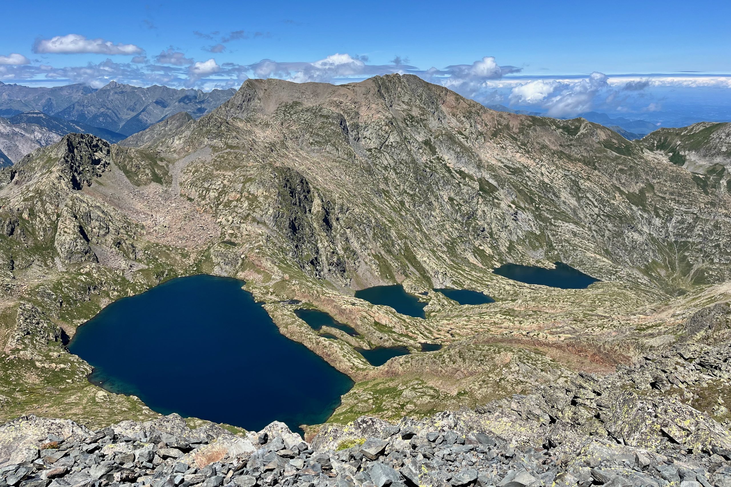 Spring-IMG_9992_Job Cohen