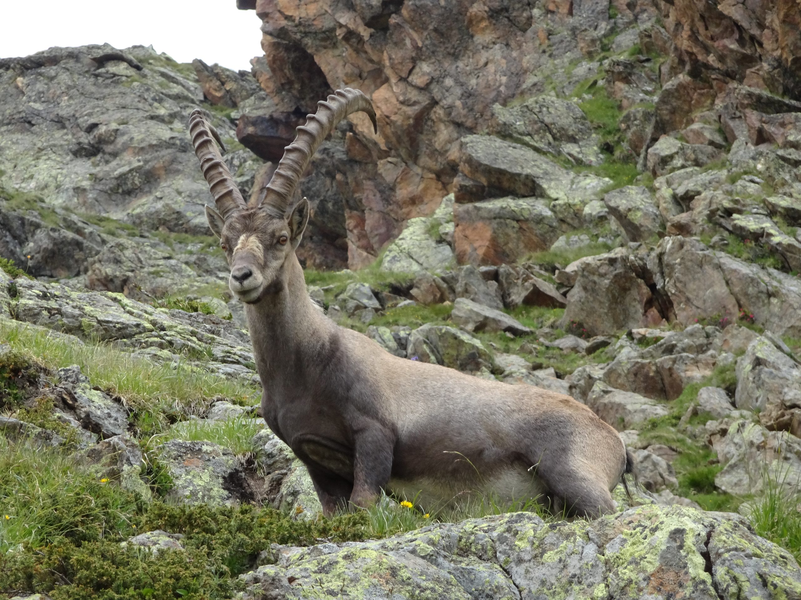 Spring-Stubaier Höhenweg 2019-Marleen Blikman
