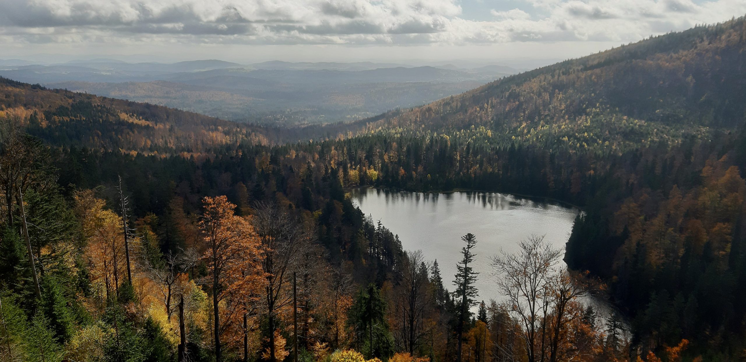 20211022_133513._Sylvana