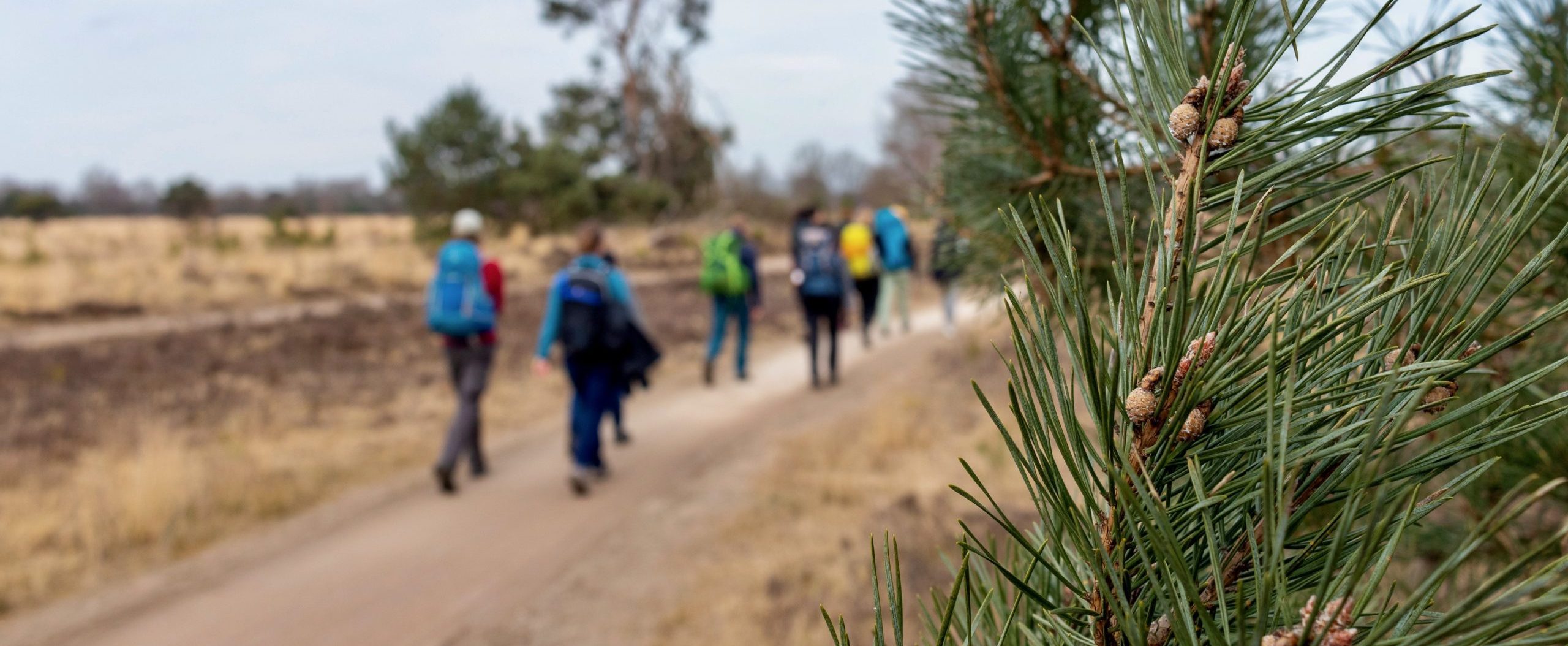 20220312_140658_BEW_9714_(Bas Wetter)