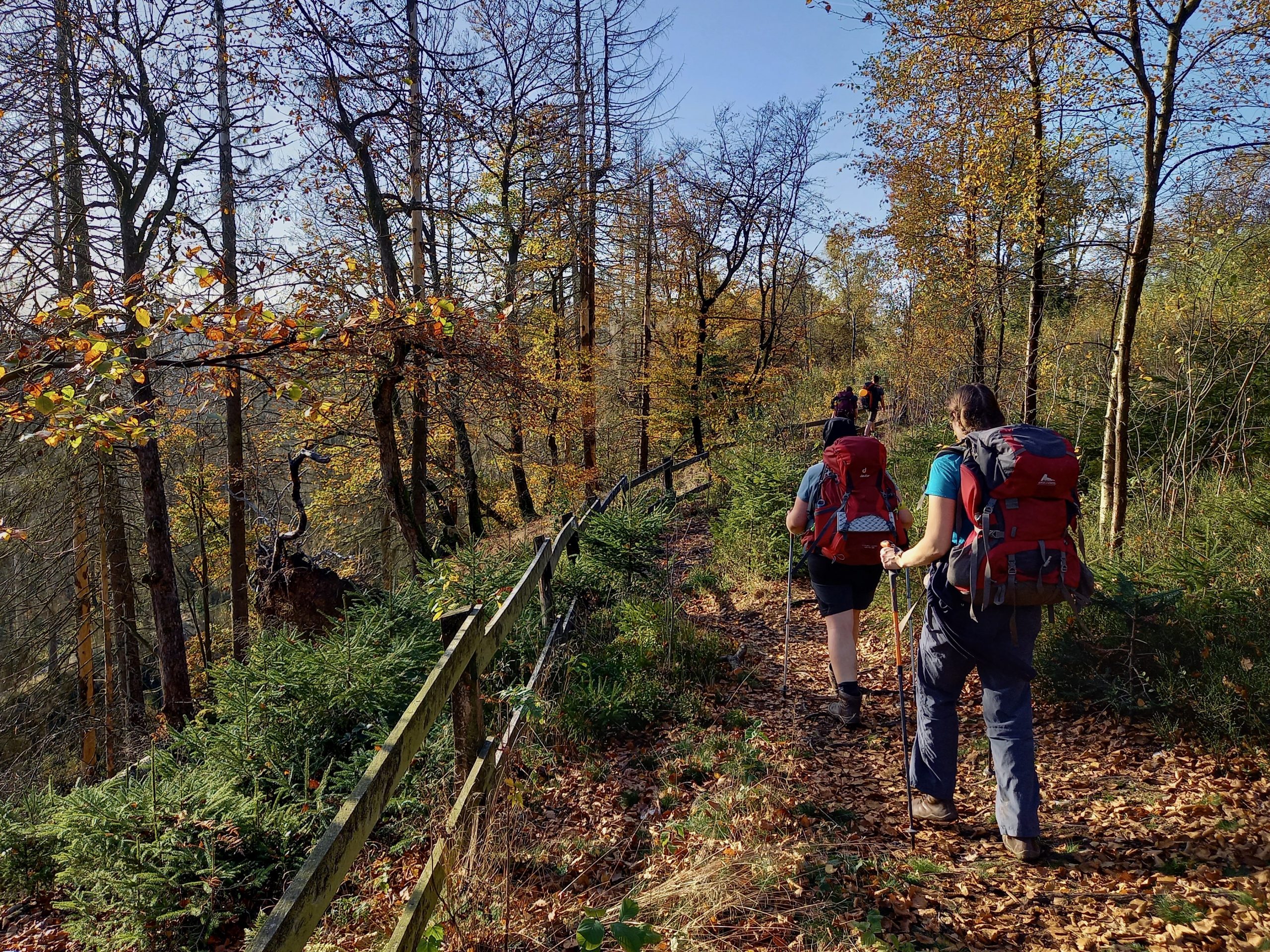 20221030_094513Thijs