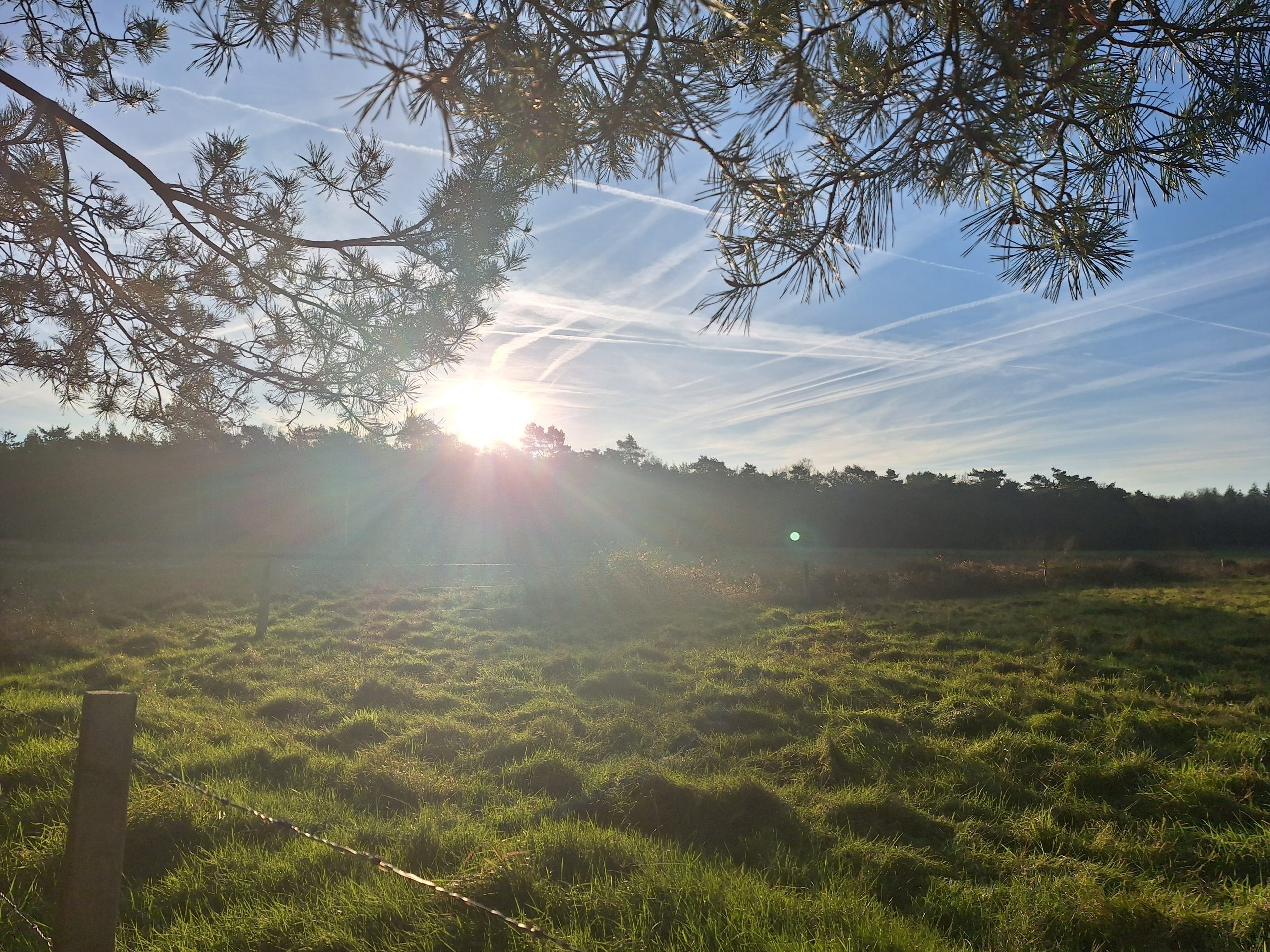 20241201_094131 (Eline)