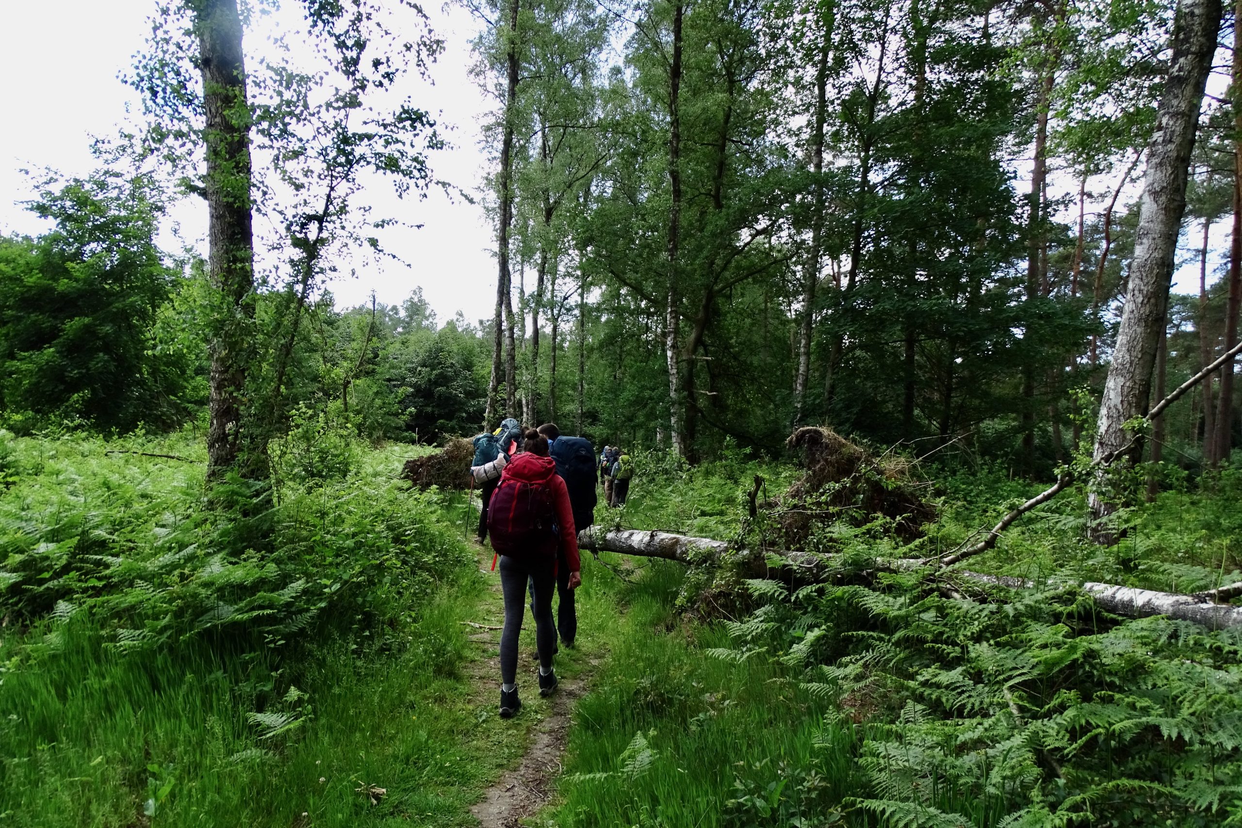 DSC04802_(Peter Kok)