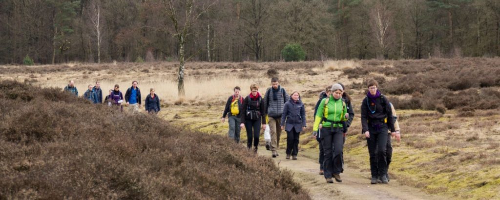 De heide bij Ede(Bas-Wetter)