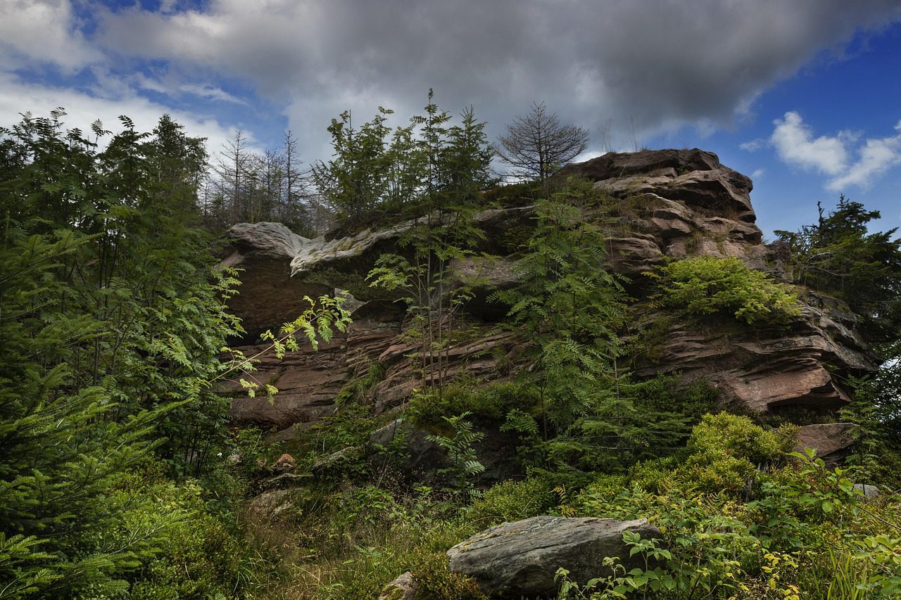 Pixabay_klagstein-4660958_1280