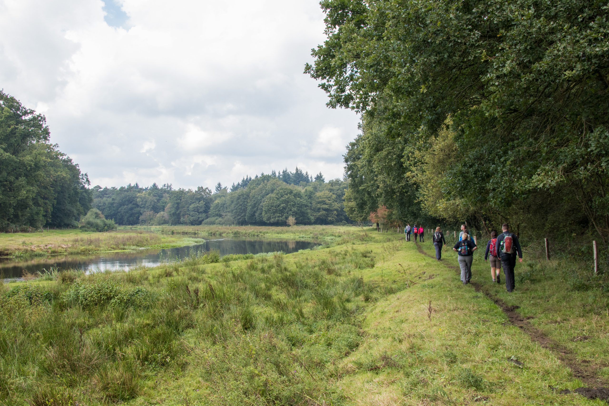 20170917_140346_BEW_6787 (Bas-Wetter)