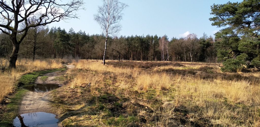 IMG_20200307_121254 (Johan)