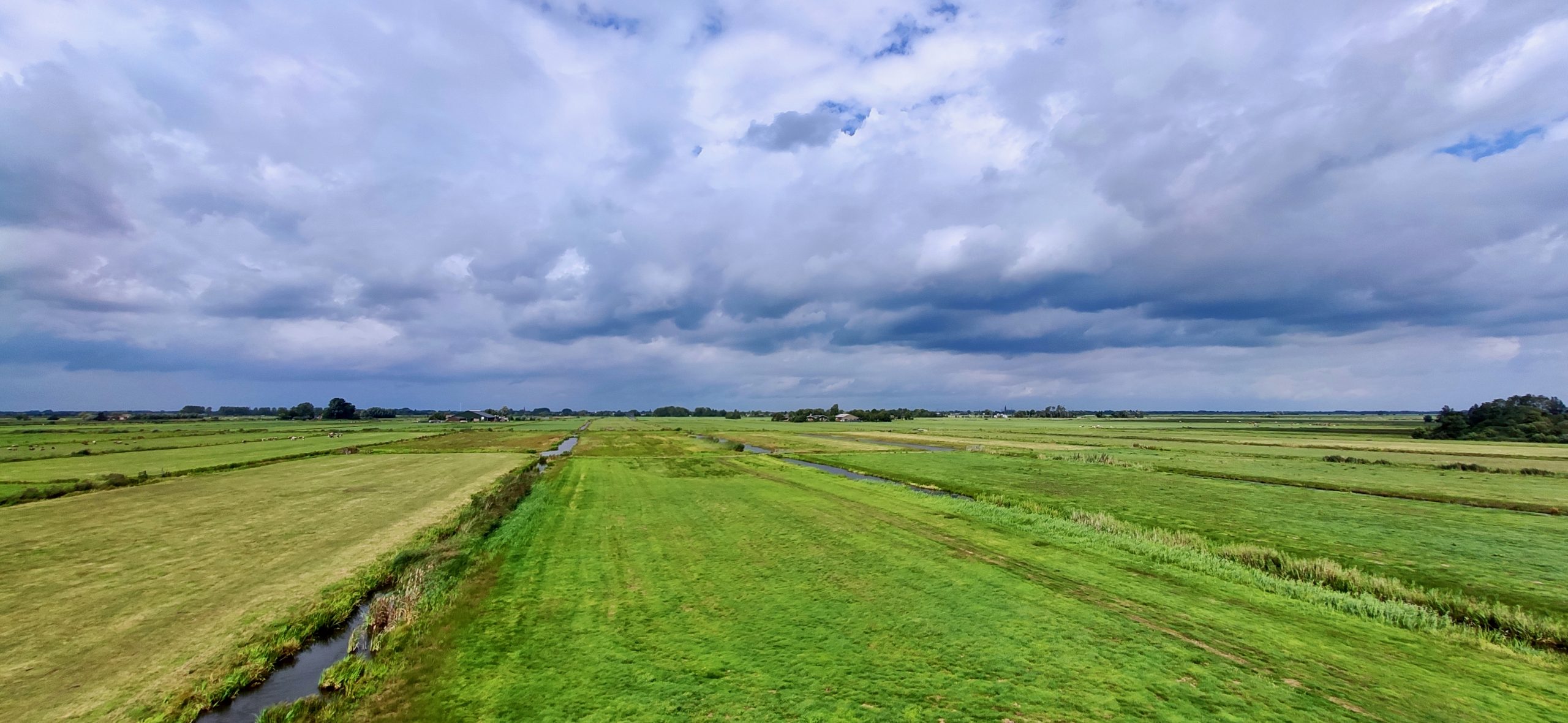 IMG_20200822_125429_Mieke