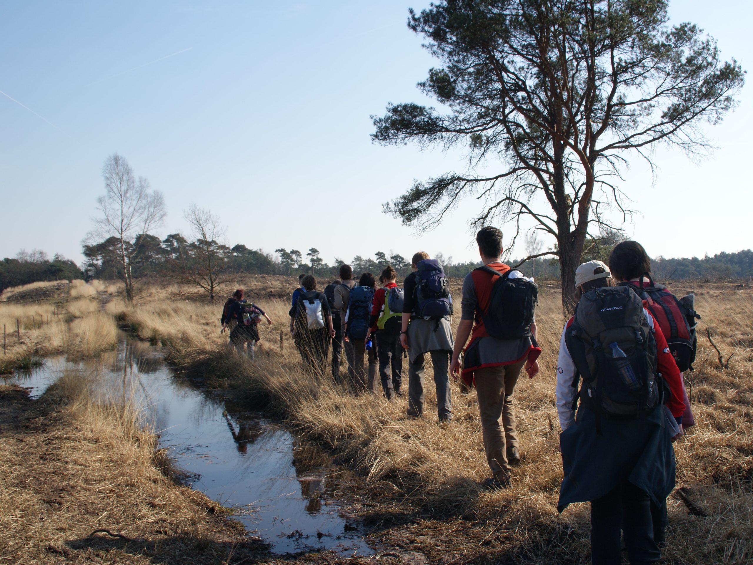 Lente in de Brabantse Kempen