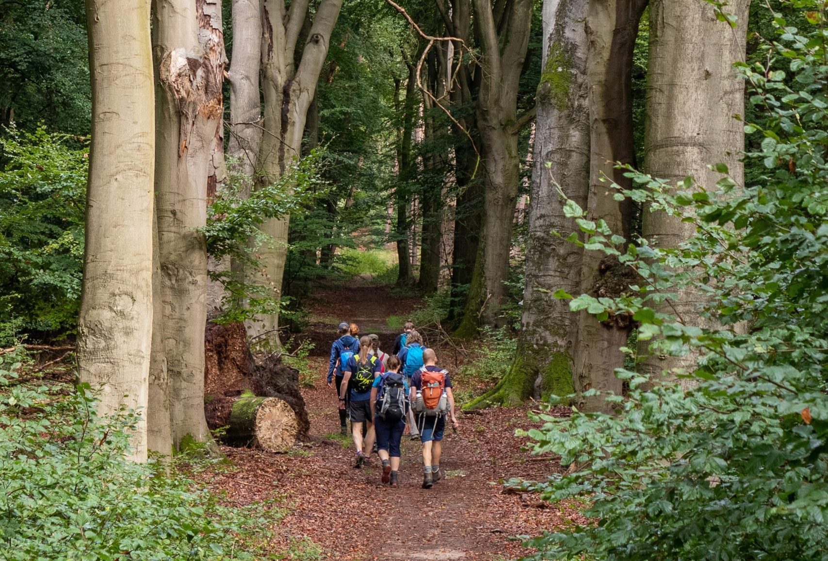 Klimmen en dalen op de N70