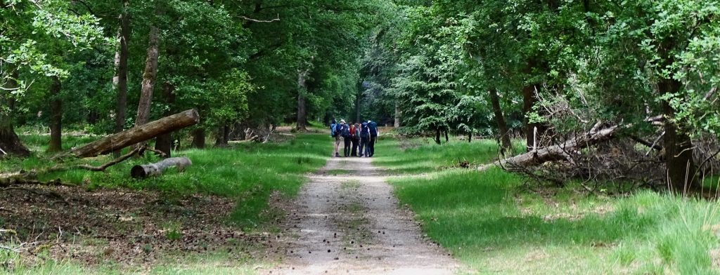 DSC04848 (Peter Kok)