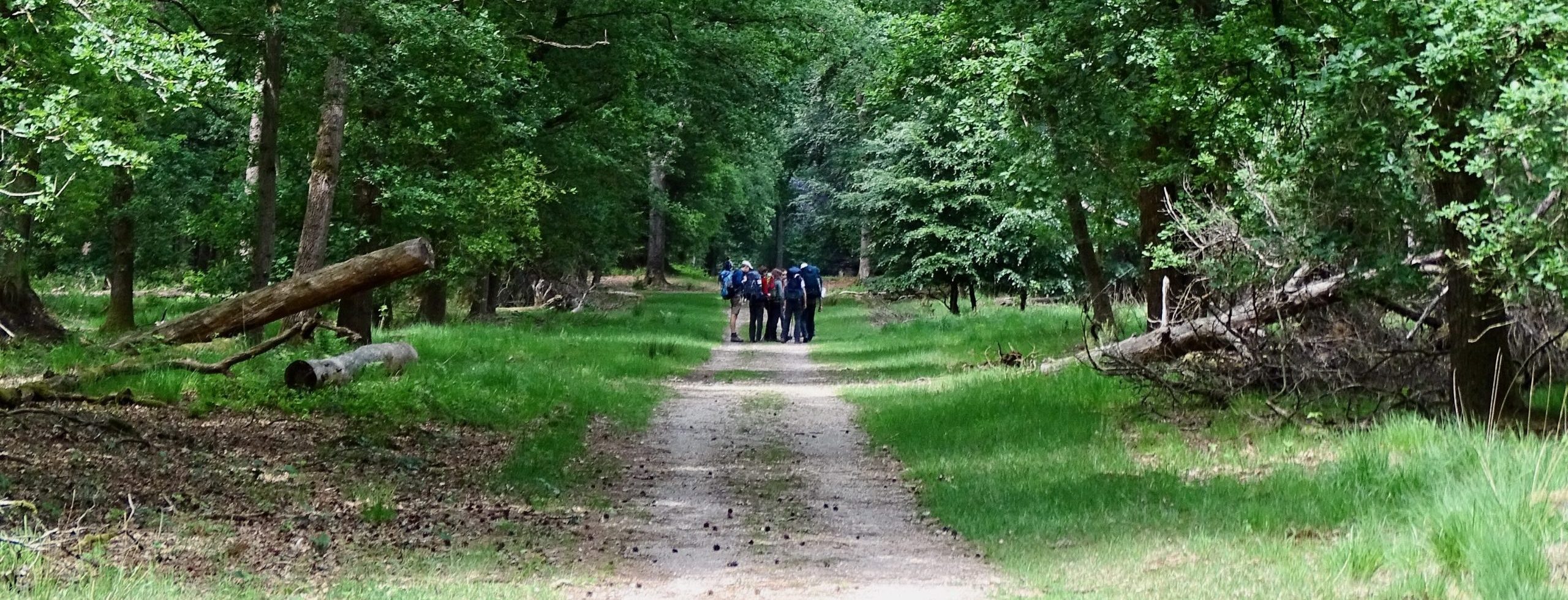 DSC04848 (Peter Kok)