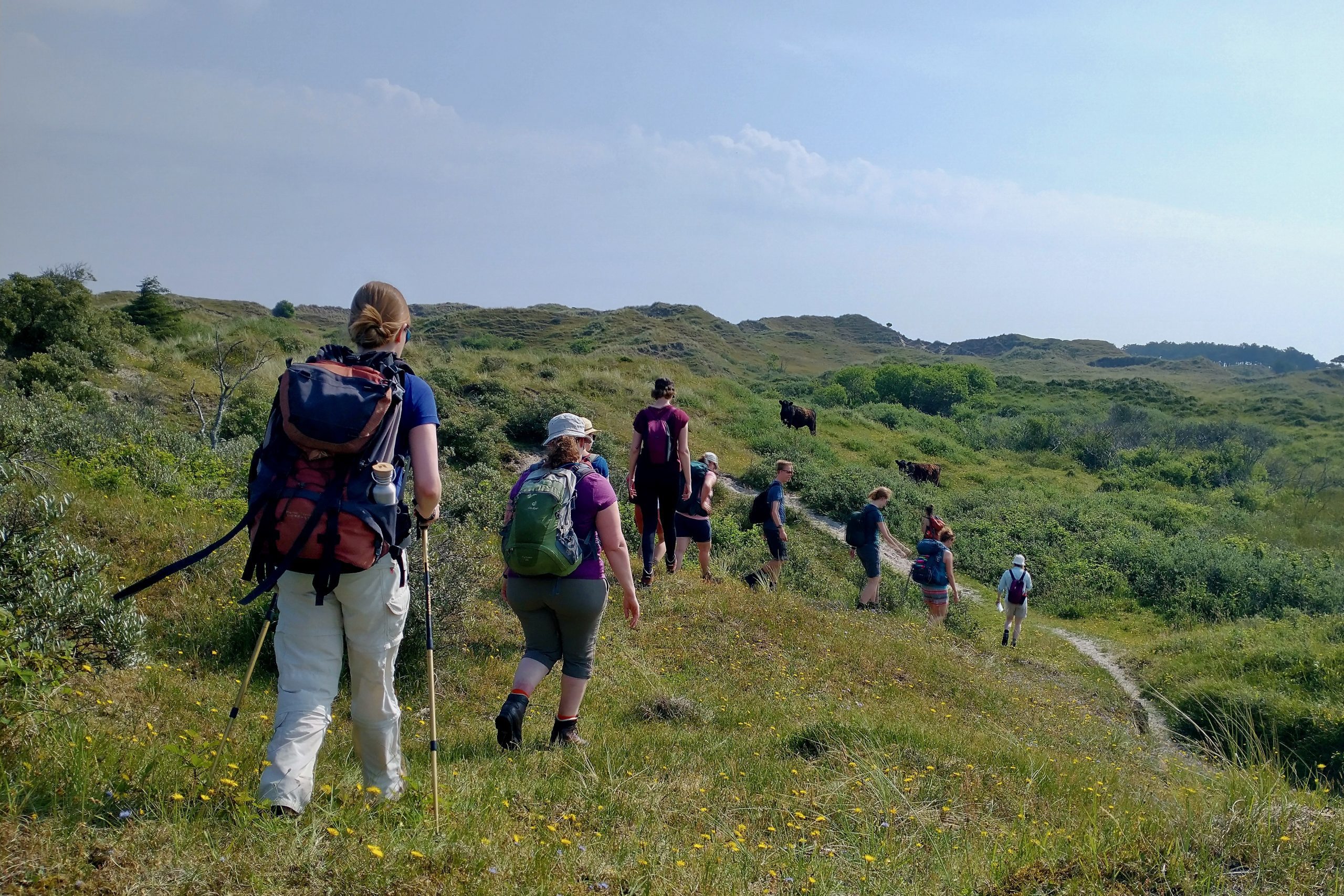 IMG_20220630_102403800_HDR (veerle)