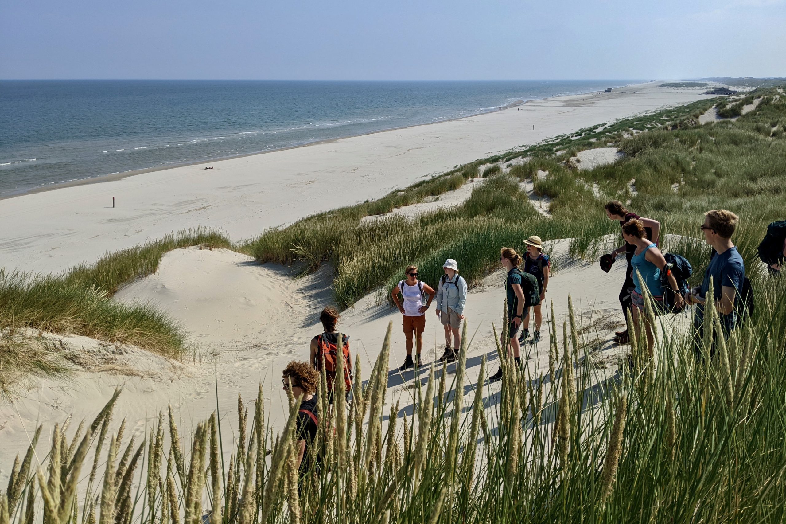 PXL_20220630_090324410 (Iris Bierenbroodspot)