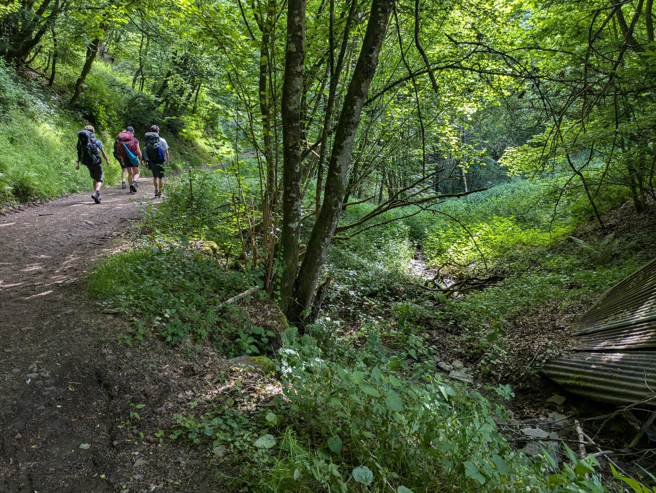 PXL_20250531_073554214 (Marco)