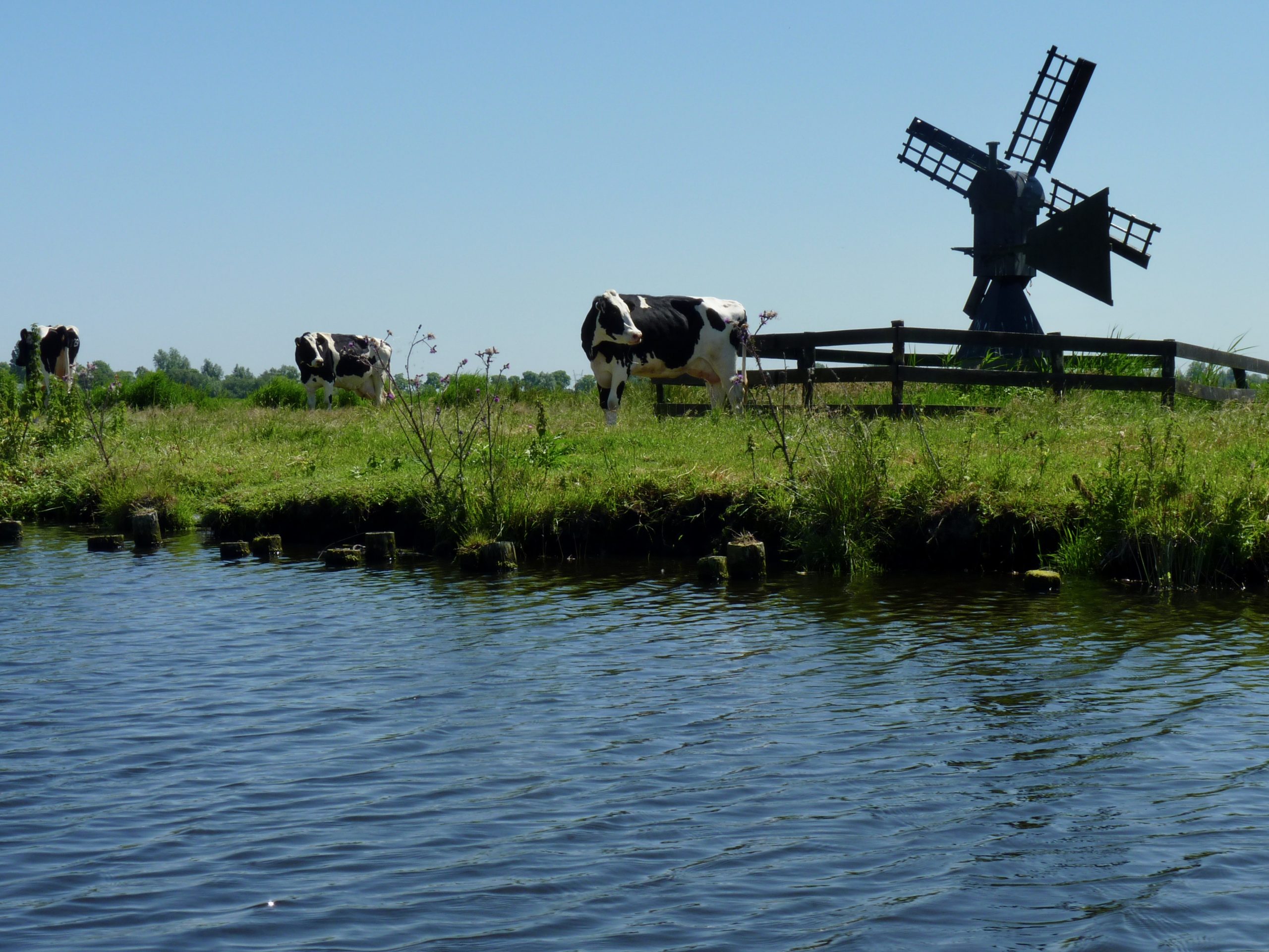 10-P1050802_Sytske