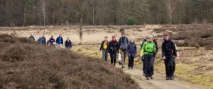 20160319_142256_BEW_2037_raw2_Bas-Wetter