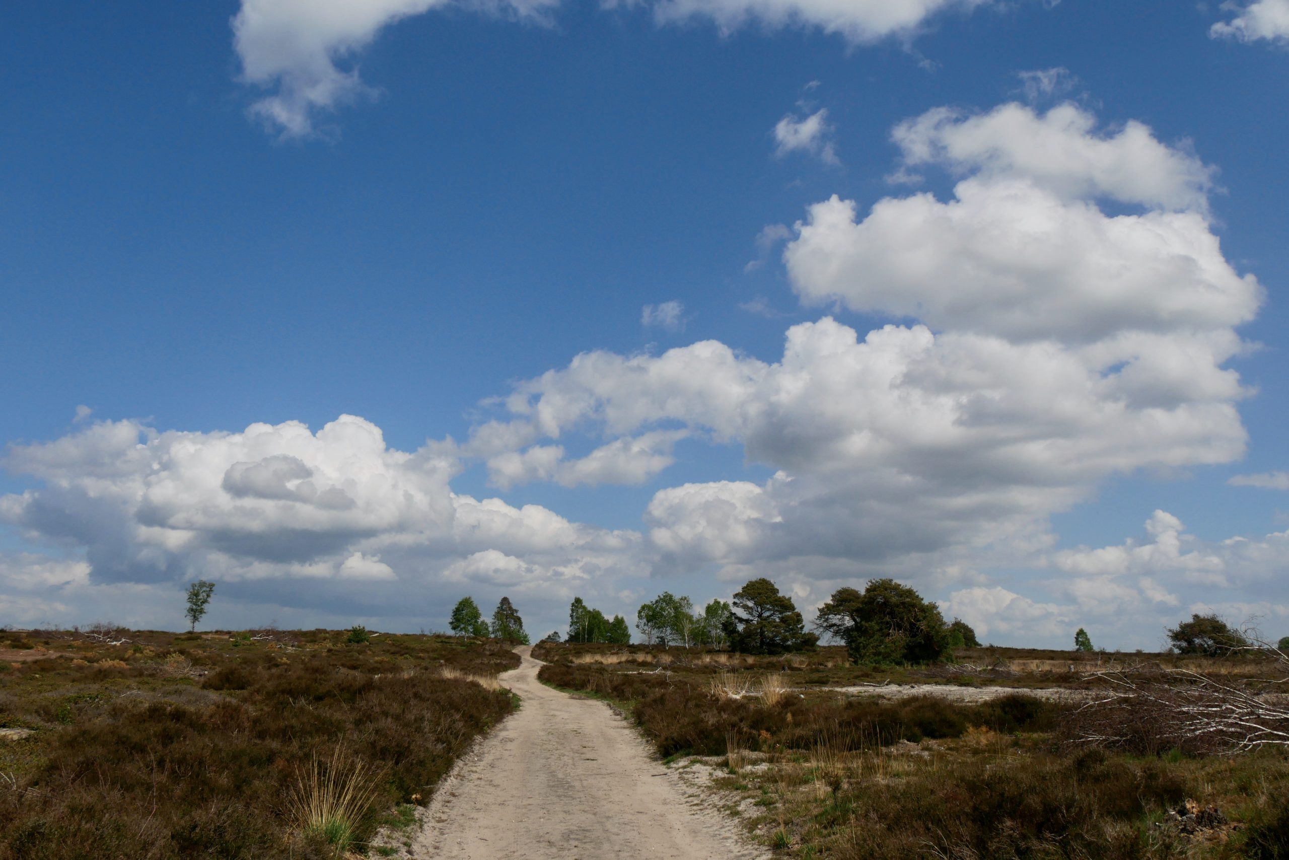 Dwalen over de Sallandse heuvels